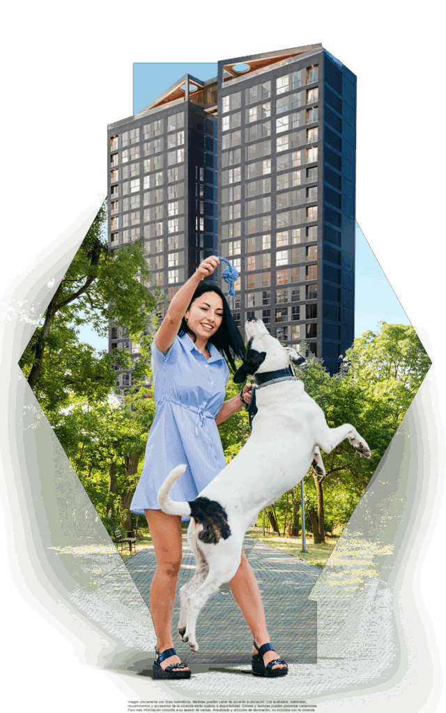 Ubicación-Colonia Seattle